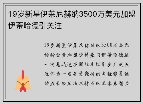 19岁新星伊莱尼赫纳3500万美元加盟伊蒂哈德引关注